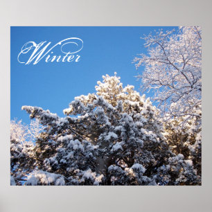 Poster Neve de inverno no Árvore