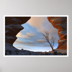 Pôster Neve do deserto