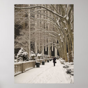 Poster Neve do parque de Bryant