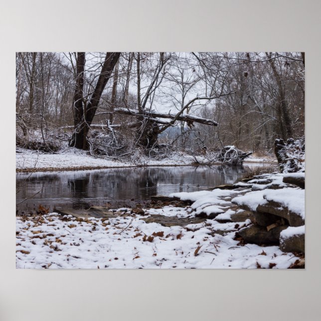 Poster Neve Em Finley (Frente)