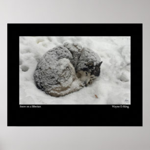 Poster Neve em uma Sibéria