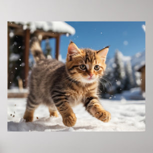 Poster *~* Neve Executando Gatinho 5:4 Kitten Cat AP68