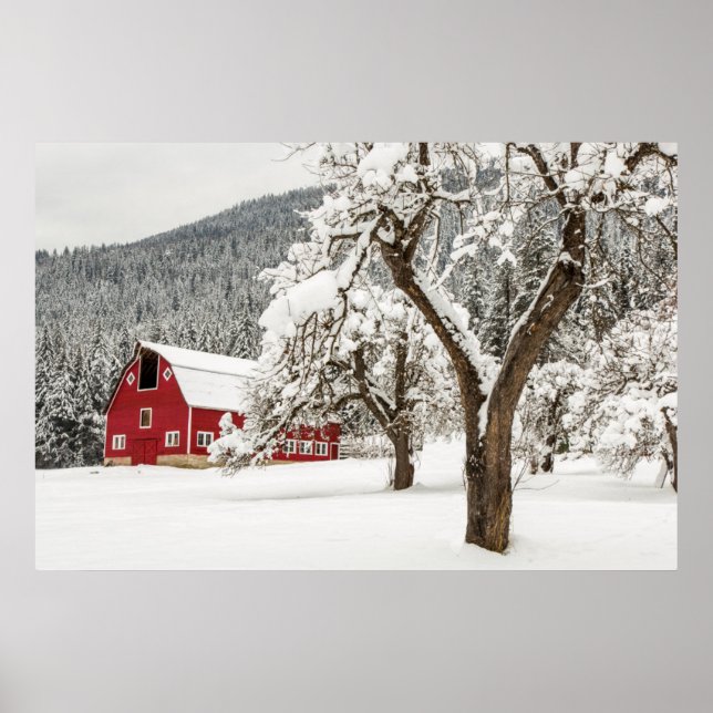 Poster Neve fresca em celeiro vermelho (Frente)