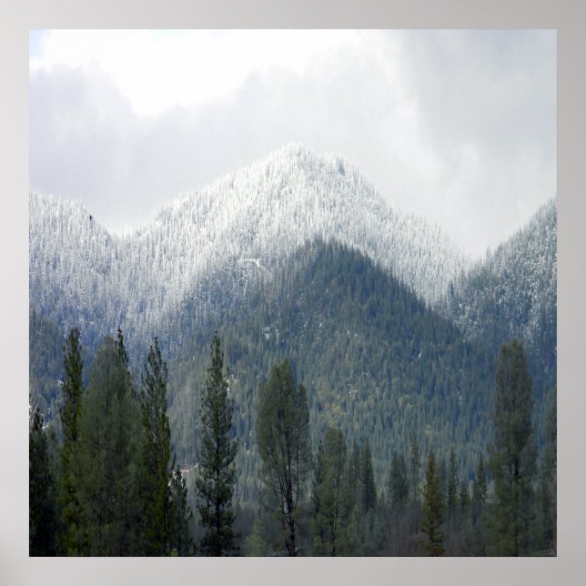 Poster Neve fresca em pó..... (Frente)