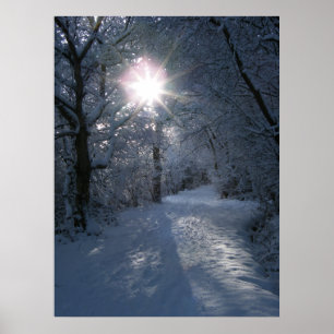 Pôster Neve & luz