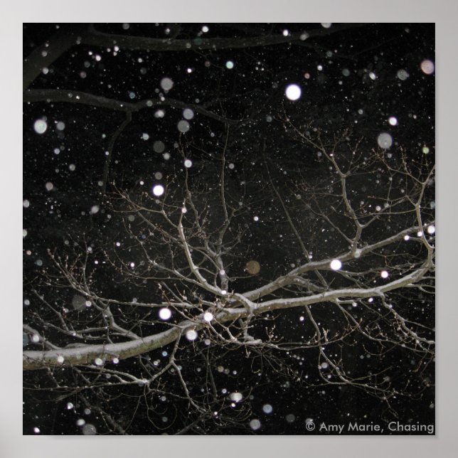 Poster Neve na Noite (Frente)