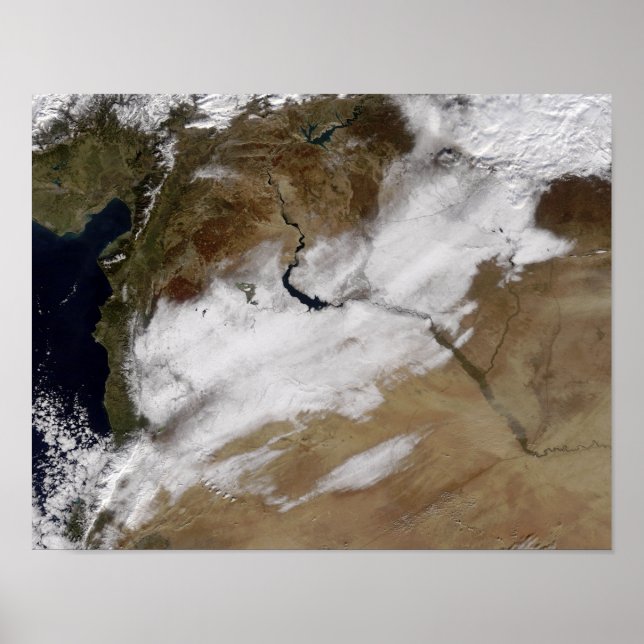 Poster Neve na Síria (Frente)