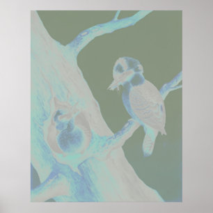 Poster Neville HP Cayley - Rindo de Kookaburra