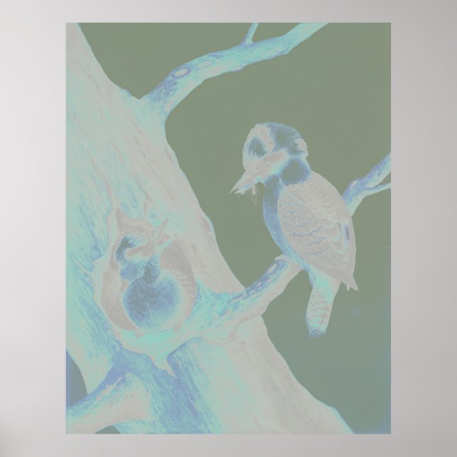 Poster Neville HP Cayley - Rindo Kookaburra (Frente)