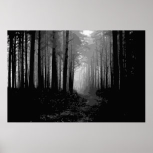 Poster Névoa 9 da floresta