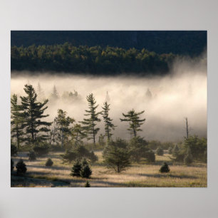 Pôster Névoa da manhã no Adirondacks
