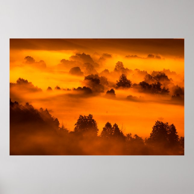 Poster Névoa matinal sobre o plaina flutuante do rio abst (Frente)