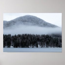 Poster Névoa sobre a floresta de papoilas