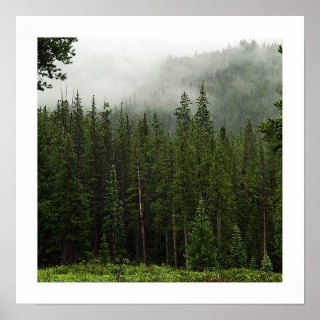 Pôster Nevoeiro (Frente)