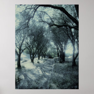 Pôster Nevoeiro da aurora