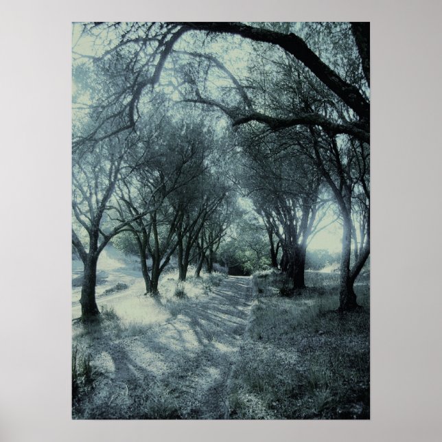 Pôster Nevoeiro da aurora (Frente)