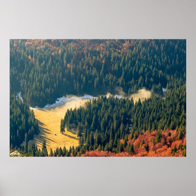 Poster Nevoeiro rolando num campo de outono de solitário (Frente)