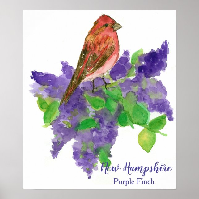 Poster New Hampshire Bird Purple Finch Lilacs (Frente)