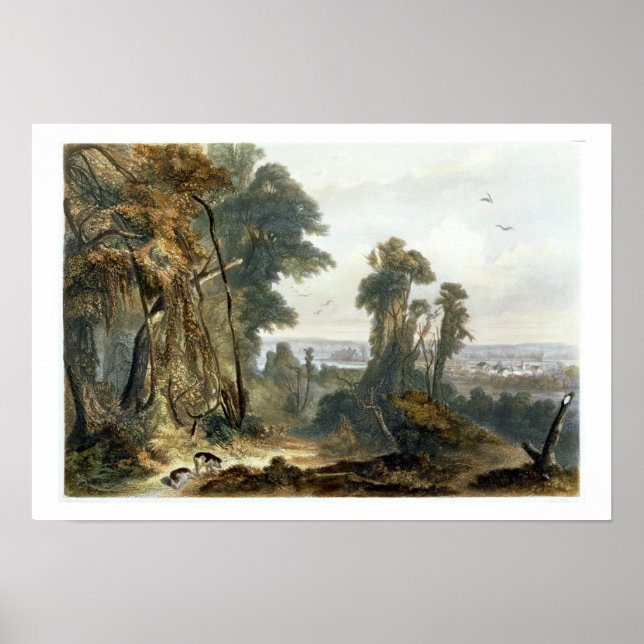 Pôster New Harmony on the Wabash, plate 2 from Volume 2 o (Frente)