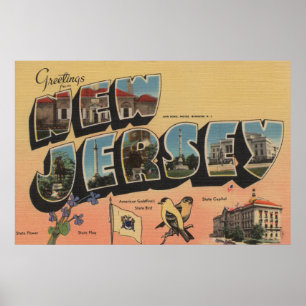 Pôster New-jersey (capital de estado/flor/pássaro)