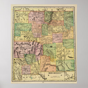 Pôster New mexico