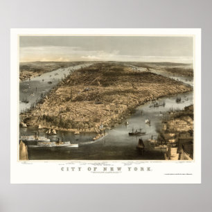Poster New York, mapa panorâmico de NY - 1856