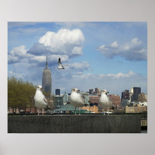 Pôster New York Skyline with Seagulls