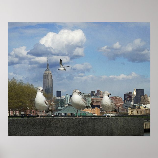 Pôster New York Skyline with Seagulls (Frente)