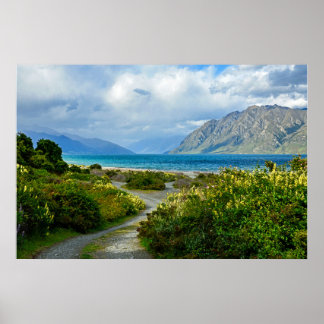 Poster New Zealand Landscape