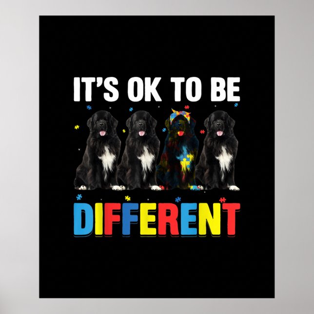 Poster Newfie | Pode ser diferente | Novato engraçado (Frente)