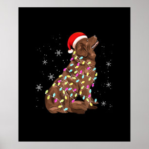Poster Newland Christmas Light Sobrenome De Cachorro