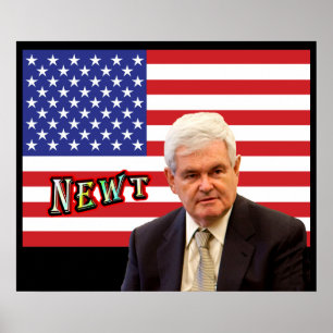 Poster NEWT - vermelho, branco, & azul
