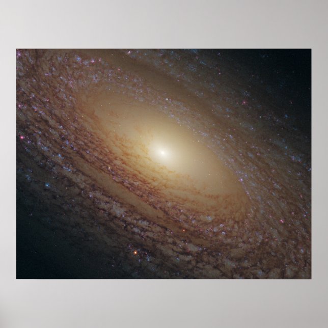 Pôster NGC 2841 Galáxia Espiral (Frente)
