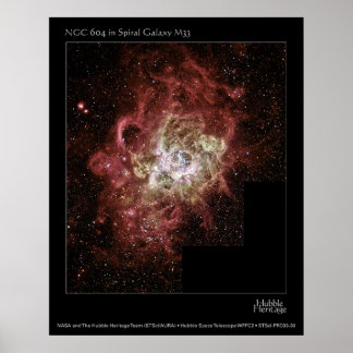 PÔSTER NGC 604