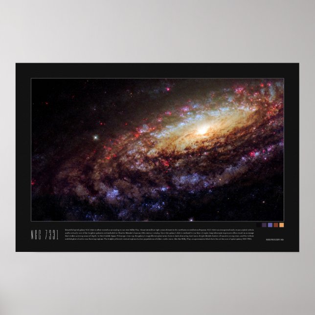 Poster NGC 7331 (Caldwell 30) (Frente)