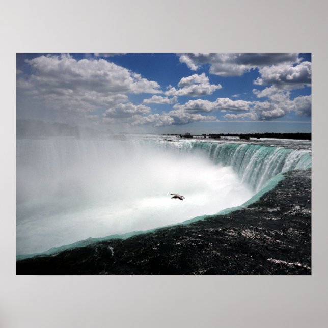 Poster Niagara Cai com Seagull (Frente)