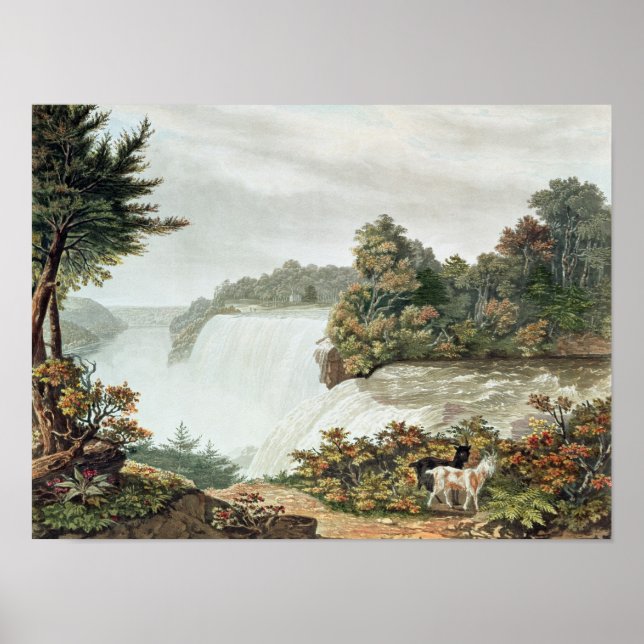 Poster Niagara Falls, da Ilha de Goat (Frente)