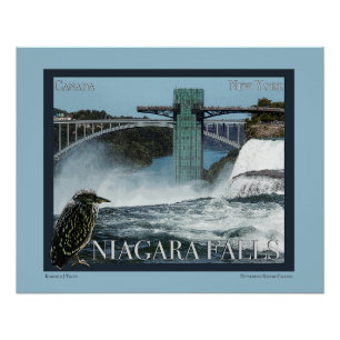 Pôster Niagara Falls Poster