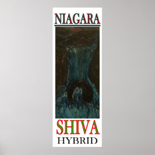 PÔSTER NIAGARA SHIVA HYBRID