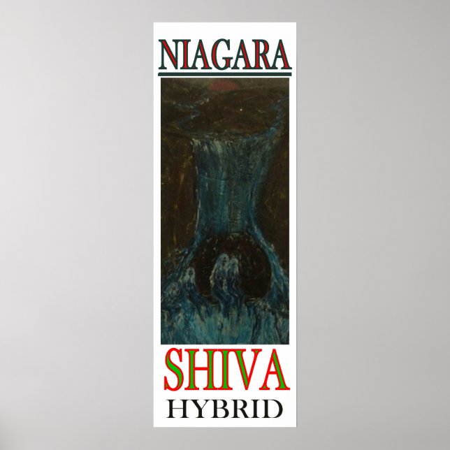 PÔSTER NIAGARA SHIVA HYBRID (Frente)