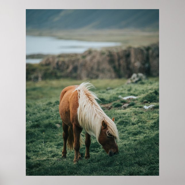 POSTER NICE HORSE (Frente)