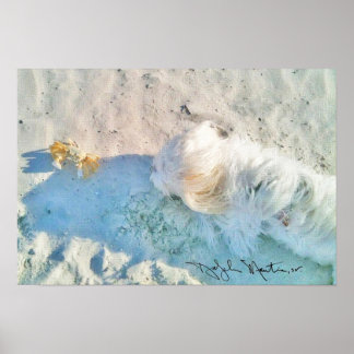 Pôster Nicholas & Friend