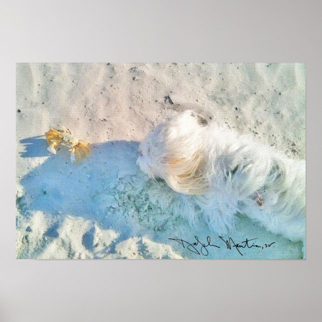 Pôster Nicholas & Friend (Frente)