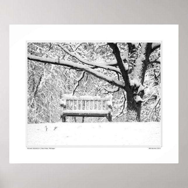 Pôster Nichols Arboretum #5 (Frente)