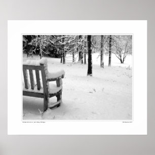 Pôster Nichols Arboretum nº 3