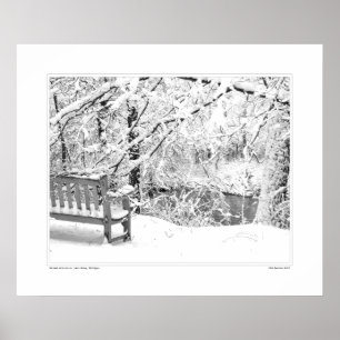 Pôster Nichols Arboretum nº 4