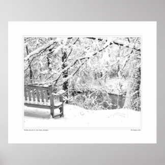 Pôster Nichols Arboretum nº 4