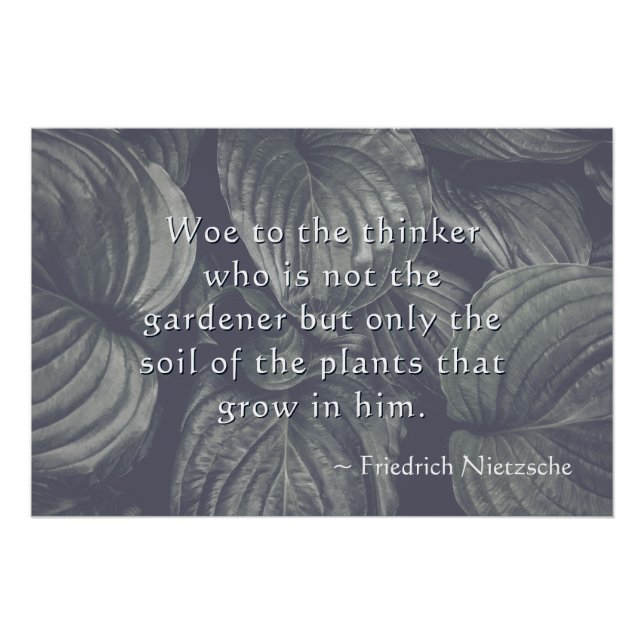 Pôster Nietzsche Hosta Leaves Personalizadas (Frente)