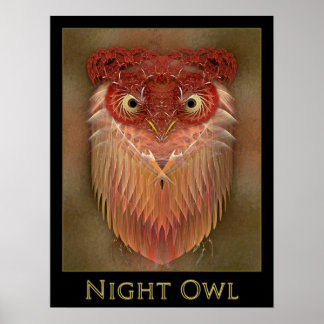 Pôster Night Owl
