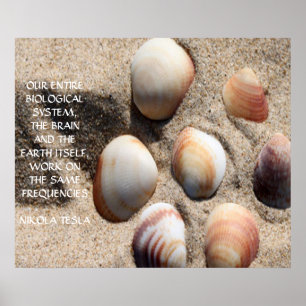 PÔSTER NIKOLA TESLA QUOTE - SAME FREQUENCIES -